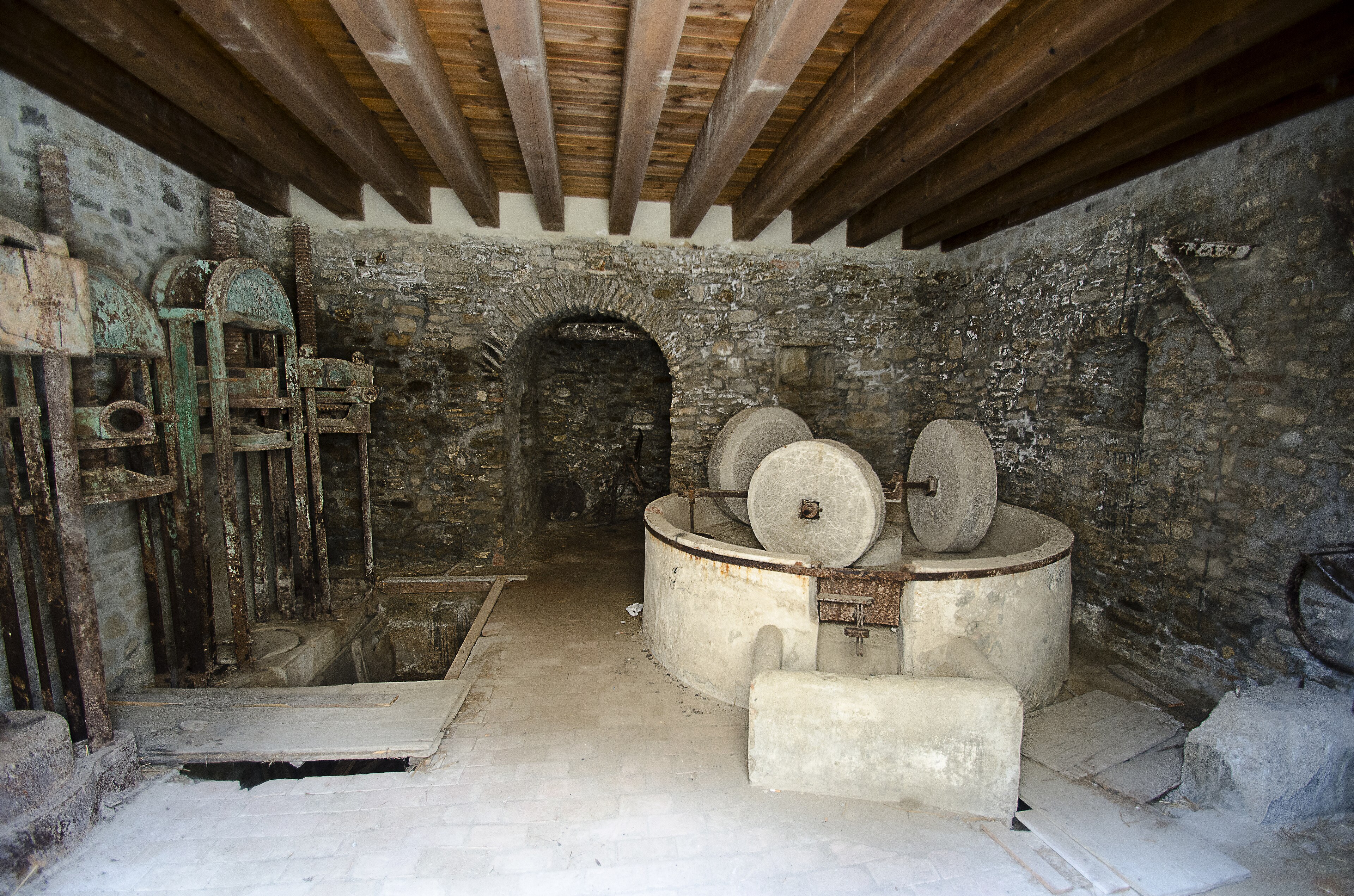 Degustazione in Frantoio